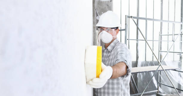 Best Post-Construction Mold Inspection  in Forest Meadows, CA